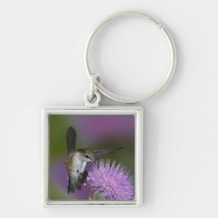 Rubinkehlkolibri im Flug an Distel Schlüsselanhänger