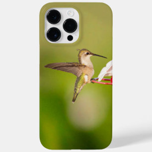 Rubinkehlkolibri-iPhone-Hülle #108A0605 Case-Mate iPhone 14 Pro Max Hülle