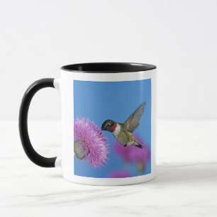Rubinkehlkolibri Tasse
