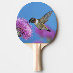 Rubinkehlkolibri Tischtennis Schläger