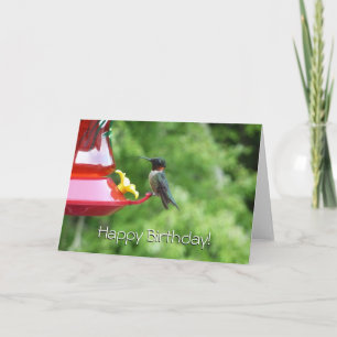 Rubinkehlkolibri-Vogel-Fotografie Karte