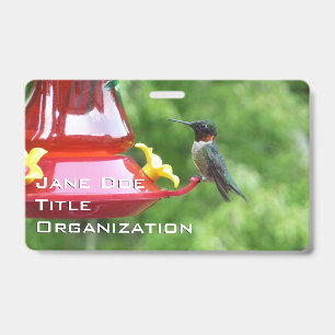Rubinkehlkolibri-Vogelfotografie Ausweis