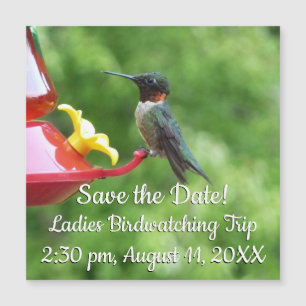 Rubinkehlkolibri-Vogelfotografie Magnetkarte