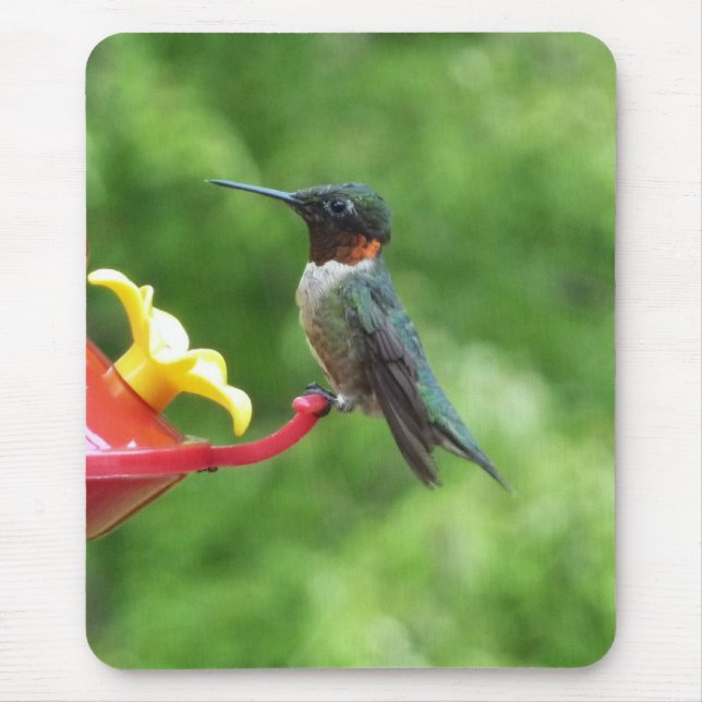 Rubinkehlkolibri-Vogelfotografie Mousepad (Vorne)