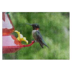 Rubinkehlkolibri-Vogelfotografie Schneidebrett