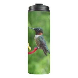 Rubinkehlkolibri-Vogelfotografie Thermosbecher