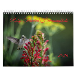 Rubinkehlkolibris Kalender