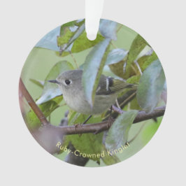 Rubinkönig-Vogel-Ornament mit Ort und Jahr Ornament