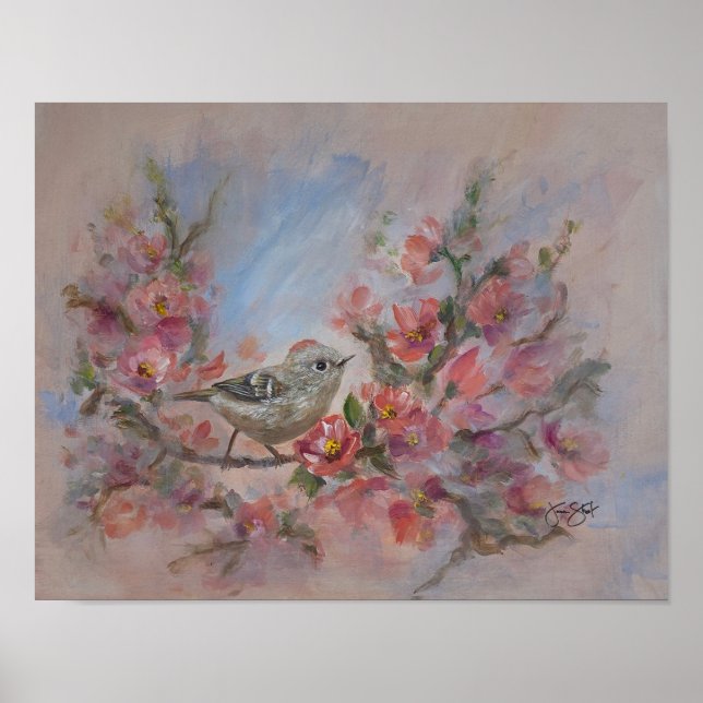 Rubinkönig Vögel Poster (Vorne)