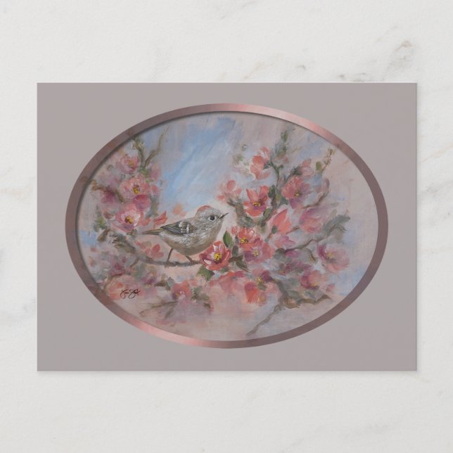 Rubinkönigssänger Postkarte (Vorderseite)