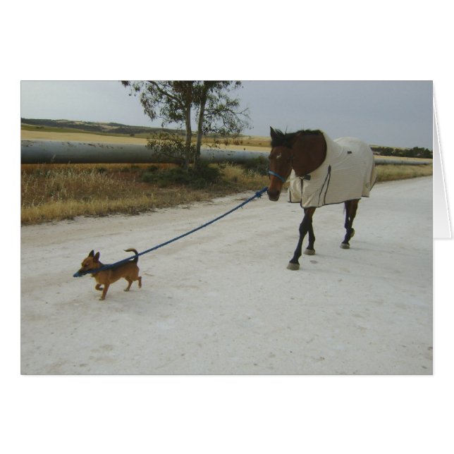 Rubrik für Zuhause (Vorderseite (Horizontal))