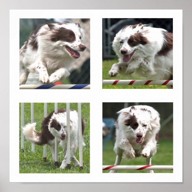 Ruby Agility Poster (Vorne)