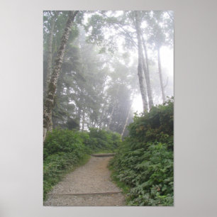 Ruby Beach, Pazifikküste - WA Poster