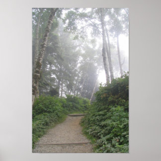 Ruby Beach, Pazifikküste - WA Poster