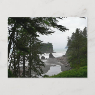 Ruby Beach Postcard Postkarte