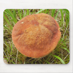 Ruby Bolete Mushroom Mouse Mat Mousepad