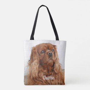 Ruby Cavalier King Charles Spaniel Dog