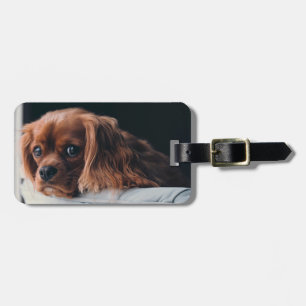Ruby Cavalier King Charles Spaniel Dog Gepäckanhänger