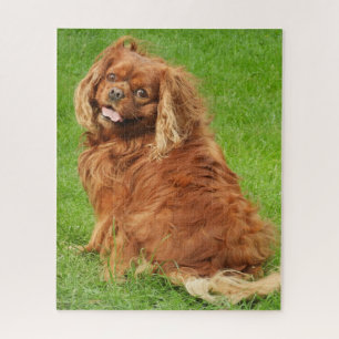 Ruby Cavalier King Charles Spaniel Dog Jigsaw Puzz Puzzle