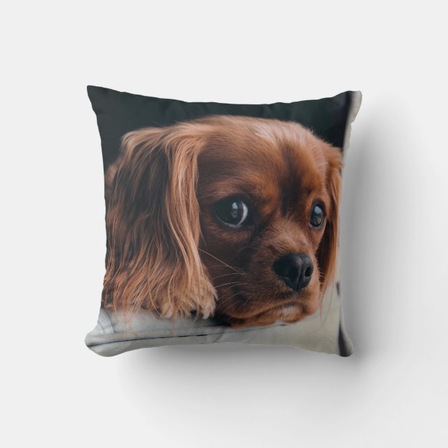 Ruby Cavalier King Charles Spaniel Dog Kissen (Vorderseite)