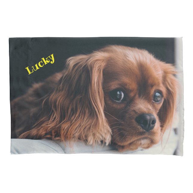 Ruby Cavalier King Charles Spaniel Dog Kissenbezug (Vorderseite)