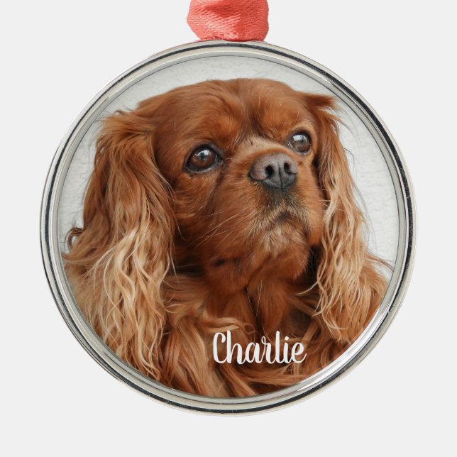 Ruby Cavalier King Charles Spaniel Dog Metal Ornam Ornament Aus Metall (Vorne)