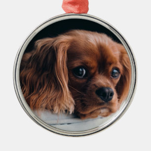 Ruby Cavalier King Charles Spaniel Dog Ornament Aus Metall