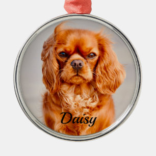 Ruby Cavalier King Charles Spaniel Dog Ornament Aus Metall