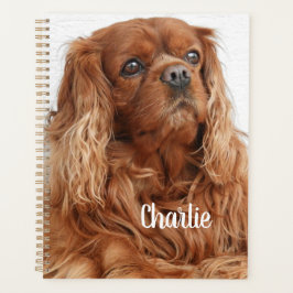 Ruby Cavalier King Charles Spaniel Dog Planer