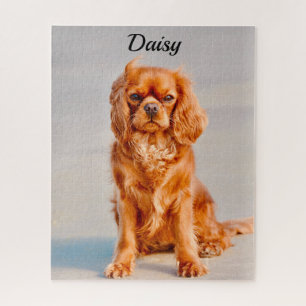 Ruby Cavalier King Charles Spaniel Dog Puzzle