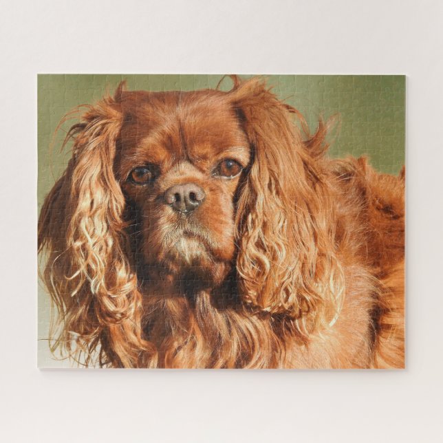 Ruby Cavalier King Charles Spaniel Dog Puzzle (Horizontal)