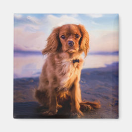 Ruby Cavalier King Charles Spaniel im Sonnenunterg Magnet
