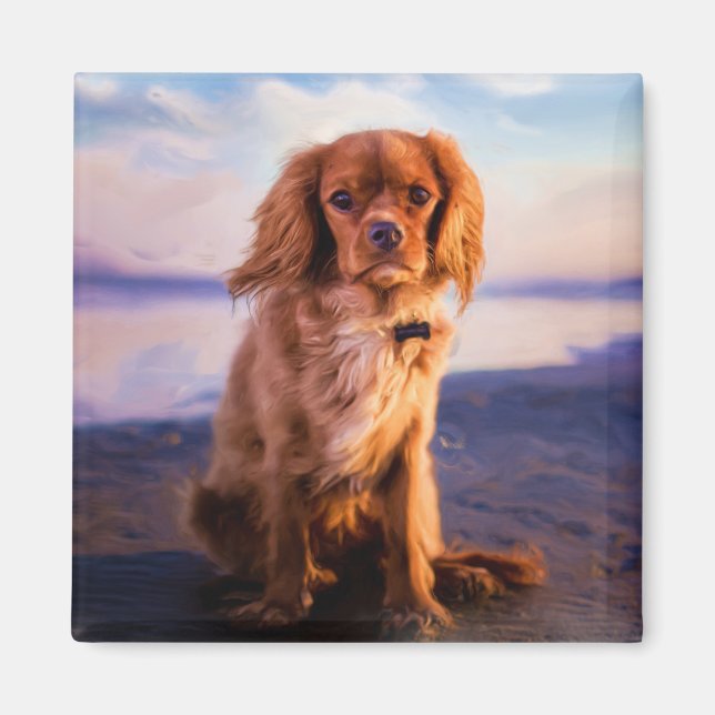 Ruby Cavalier King Charles Spaniel im Sonnenunterg Magnet (Vorne)