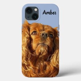 Ruby Cavalier King Charles Spaniel Puppy Dog Blue Case-Mate iPhone Hülle