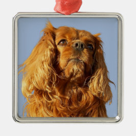 Ruby Cavalier King Charles Spaniel Puppy Dog Ornament Aus Metall