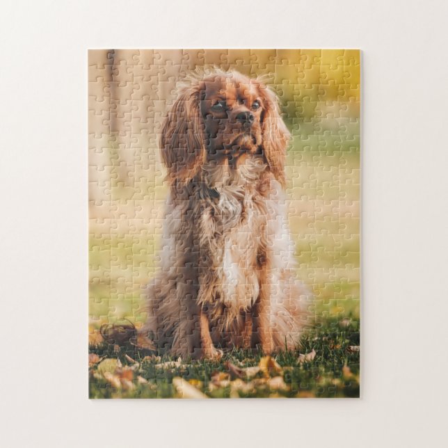 Ruby Cavalier King Charles Spaniel Puppy Dog Puzzle (Vertikal)