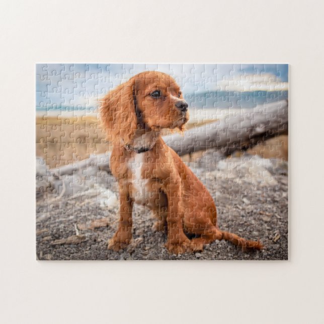 Ruby Cavalier King Charles Spaniel Puppy Dog Puzzle (Horizontal)