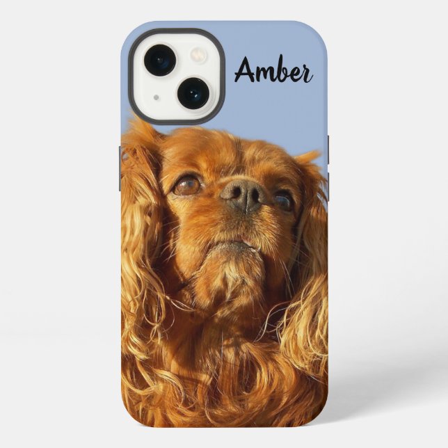 Ruby Cavalier King Charles Spaniel Welpenhund Blau iPhone Hülle (Rückseite)