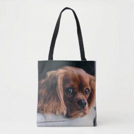 Ruby Cavalier König Charles Spaniel Hund