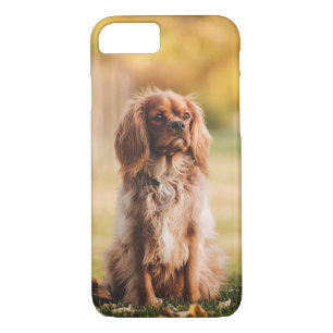 Ruby Cavalier König Charles Spaniel Hund Case-Mate iPhone Hülle