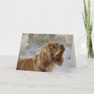 Ruby Cavalier Weihnachtskarte Feiertagskarte