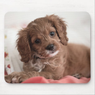 Ruby Cavapoo Puppy Dog Mousepad