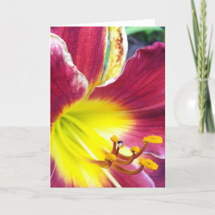 Ruby Day Lily Grußkarte Karte