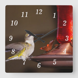 Ruby-gedrosselte Hummingbird-Wall-Uhr Quadratische Wanduhr