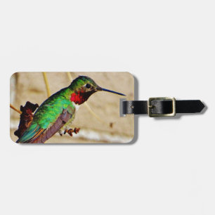 Ruby Green Komingbird Gepäckanhänger