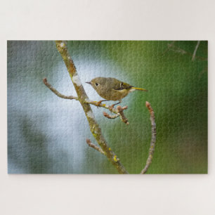 Ruby-Krone-Kinglet Puzzle