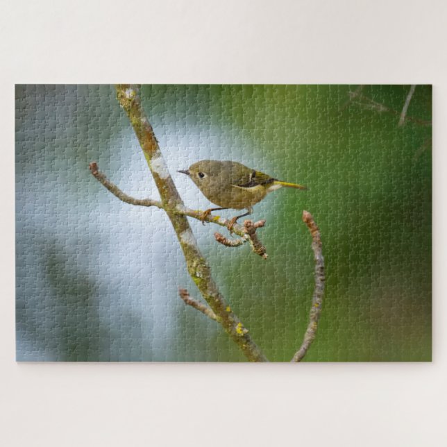 Ruby-Krone-Kinglet Puzzle (Horizontal)