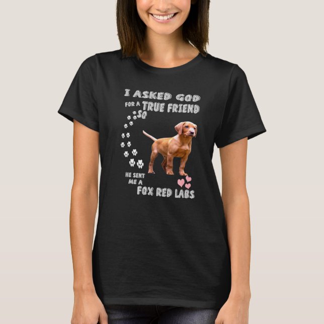 Ruby Labrador Hund Mama Vater Kostüm Niedlich Fox  T-Shirt (Vorderseite)