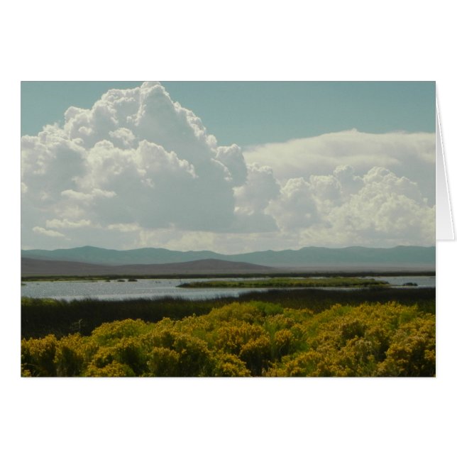 Ruby Marshes, Rabbit Brush (Vorderseite (Horizontal))