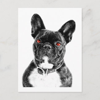 Ruby Mit Augen French Bulldog Portrait Postkarte